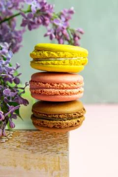 Selective focus three pink macaroons and a lilac branch Stock Photos