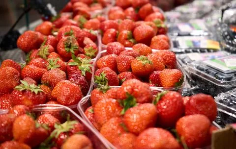 Selective focus. Top view of strawberry in the baskets, ready for sell in the Stock Photos