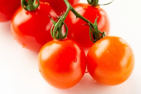 Selective focus of two cherry tomatoes on the branch Stock Photos