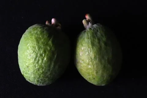 Selective focus on Two Feijoas against black background, Scientific name Acca Photos