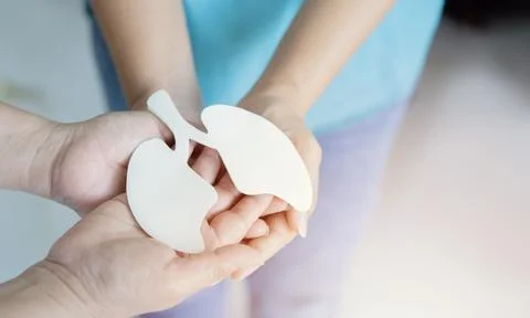 Selective focus of two hands holding lung, world tuberculosis day, world no.. Foto stock