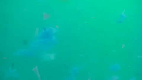 Selective focus of underwater micro plastic. Stock Footage 172071766