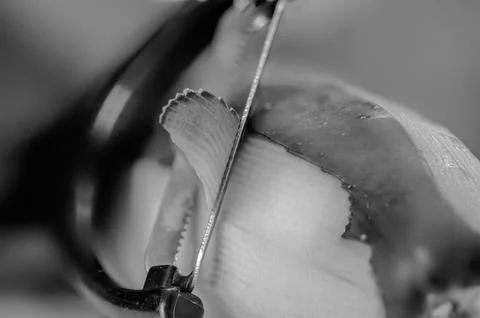 Selective focus on a vegetable peeler removing the outer skin of a cucumber Foto stock
