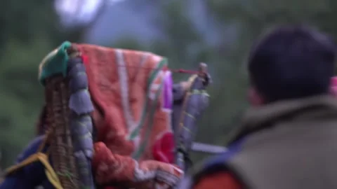 Selective focus video of Kedarnath tracking with pitthu Stock Footage 258928660