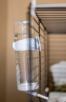 Selective focus on a water bottle mounted on the bars of a small animal cage. Foto stock