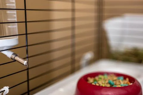 Selective focus on a water bottle mounted on the bars of a small animal cage. Stock Photos