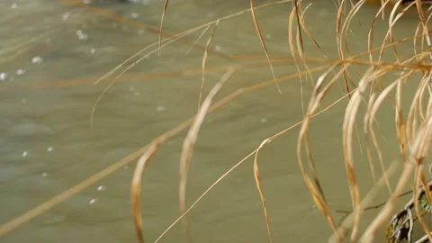 Selective focus of water in mountains at early spring Stock Footage 303959205