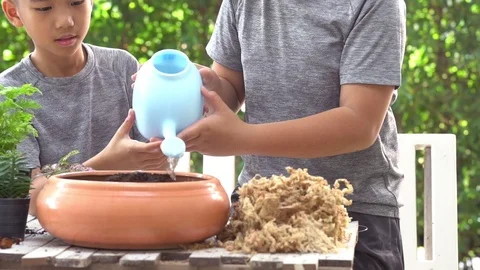 Selective focus on water pot shower on black soil on child hand. Earth day co Stock Footage 101812233