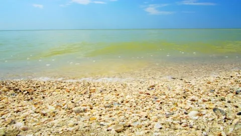 Selective focus on the waves of the sea washing the wild, deserted sandy beach. Stock Footage 136780304