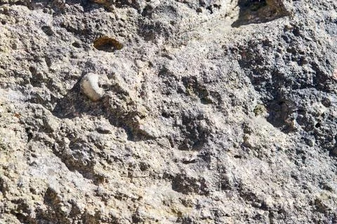 Selective focus weathered aged rough cement concrete grunge with small stones or Stock Photos
