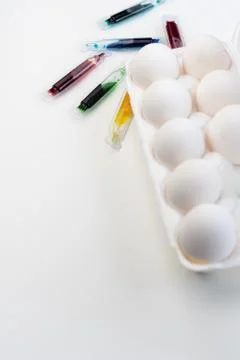 Selective focus, white chicken eggs with dye Stock Photos