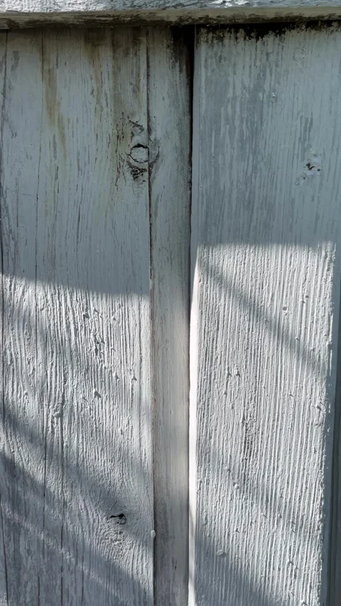 Selective focus whitewashed wooden wall texture close-up Stock Footage 334326957