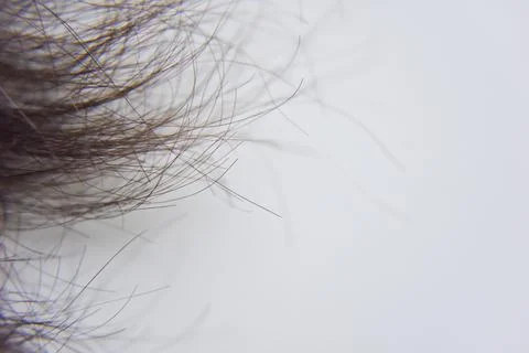 Selective focus within closer look at the ends of humans hair Stock Photos