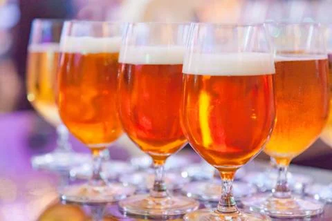 Selective Focused Glasses of Draught Beer or Craft Beer, Refreshment, Liquor, Stock Photos