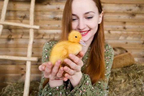 Selective focus.Happy Easter concept. Happy woman gently hold the duckling Stock Photos