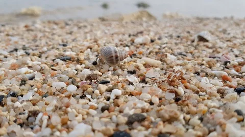 Selective focus.Multi-colored crystals quartz sand.Hermit cancer creeps to water Stock Footage 128843465
