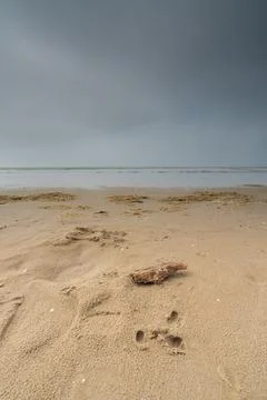 A selective sharpness of a piece of wood on the beach. Peeking sea and beautiful Foto stock