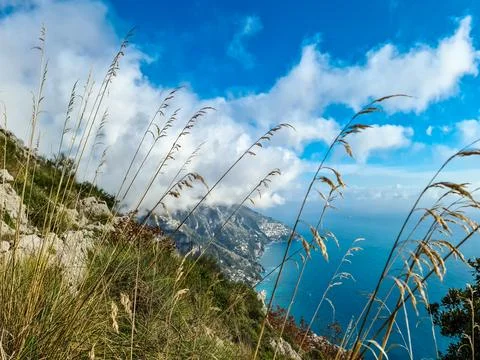 Selective soft focus dry grass, reeds, blowing in wind with panoramic view .. Stock Photos