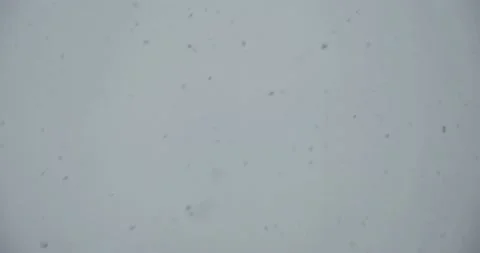 Selective soft focus. Flakes of snow flying against the gray sky. Snowfall. Stock Footage 168558142