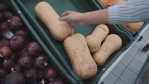 Selects a pumpkin on the market Stock Footage 95402537