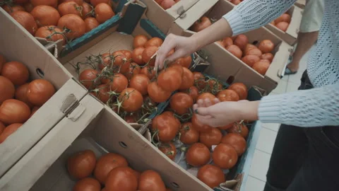 Selects the tomatoes on the market Stock Footage 95402375