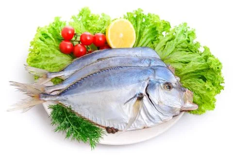 Selene setapinnis Stock Photos