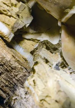 Selenite crystals Stock Photos