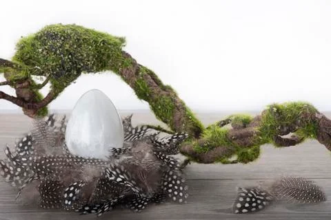 Selenite egg in nest 스톡 사진