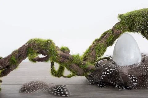 Selenite egg in nest Stock Photos