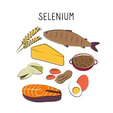 Selenium-containing food. Groups of healthy products containing vitamins and Stock Illustration