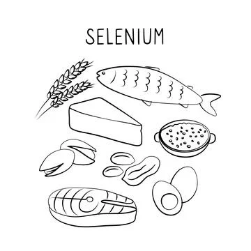 Selenium-containing food. Groups of healthy products containing vitamins and Stock Illustration
