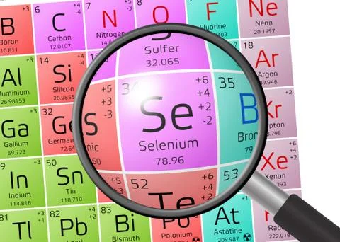 Selenium from Periodic Table of the Elements with magnifying glass Illustrazione stock