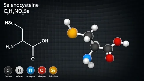 Selenocysteine. Seamless loop. Stock Footage 152764833