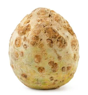 Seler root fresh on a white background. Isolated Stock Photos