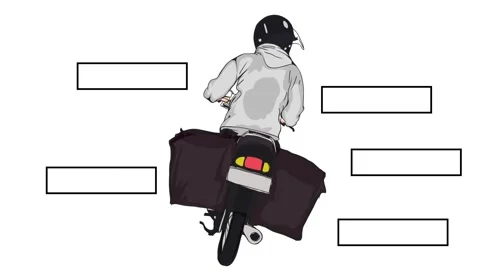 Seles Stock Footage 321921101