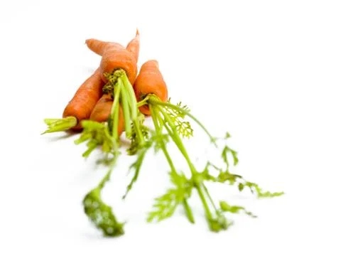 Seletive focus carrots Stock-Fotos