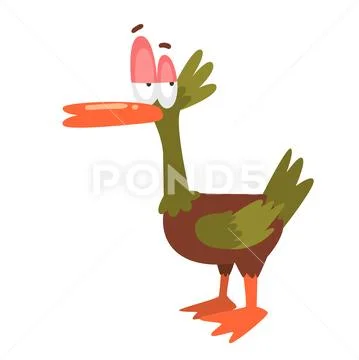 Self Confident Male Mallard Duck, Funny Bird Cartoon Character Vector Stock Illustration