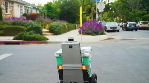 Self-controlled delivery robot crossing the street in residential area Stock Footage 243640294