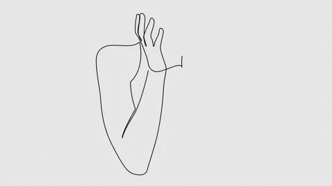 Self drawing animation of continuous line shocked young woman covering her face Stock Footage 247899376