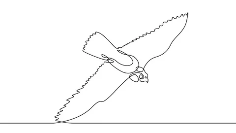 Self drawing animation of continuous one single line  bird Stock Footage 92128791