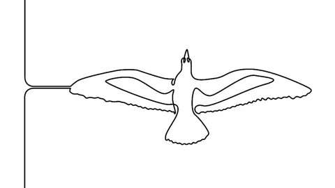 Self drawing animation of continuous one single line  bird Stock Footage 92128792