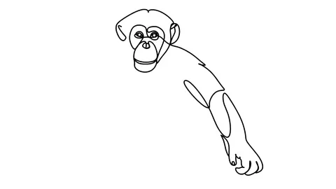 Self drawing animation of continuous one line drawing of isolated object monkey Video stock 128422018
