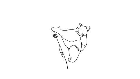 Self drawing animation of continuous one line drawing of isolated object koala Stock Footage 128422401