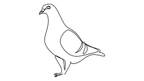Self drawing animation of continuous one line drawing of isolated object dove Video stock 128423203