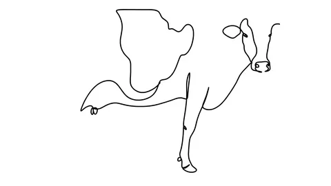 Self drawing animation of continuous one line drawing of isolated object cow Video stock 128423260