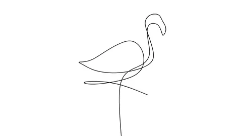 Self drawing animation of continuous one line drawing of flamingo. Stock Footage 128425329