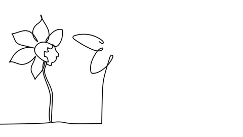 Single Line Drawing Flower Stock Videos – Royalty-Free HD & 4K Videos ...