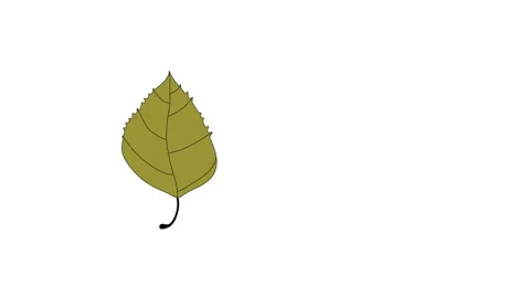 Self drawing animation of gray green brown birch leaf. Line art illustration. Stock Footage 131799530