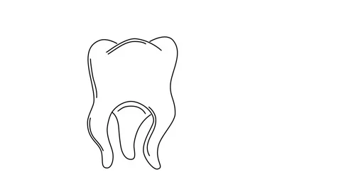 Self drawing animation of human tooth ou... | Stock Video | Pond5