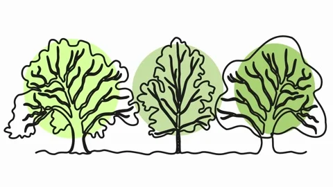Self drawing animation with one continuous line draw,spring, abstract sprawling Stock Footage 266109063